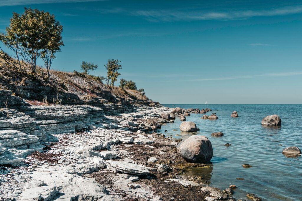 Estonian coastline near a data center site